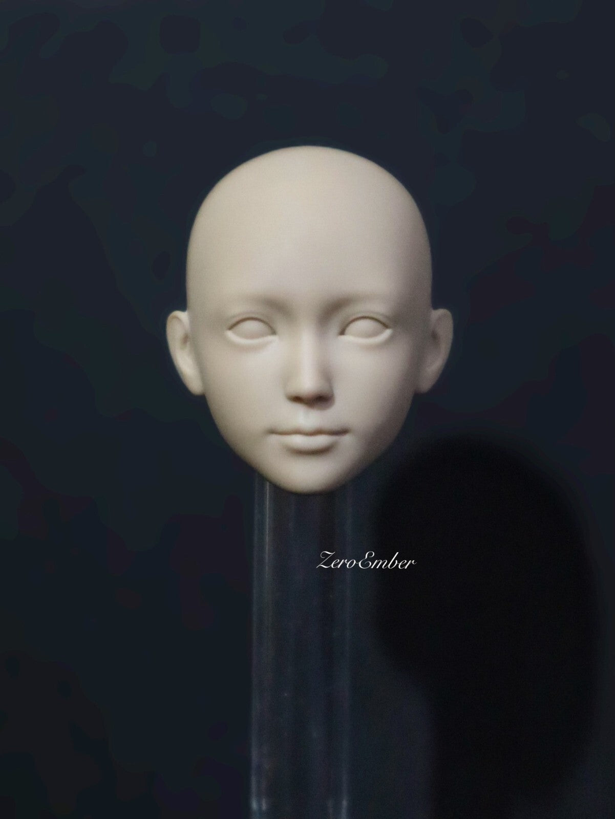 Custom  1/6  dead  or alive    ほのか\HONOKA\ head  （ no including  body）