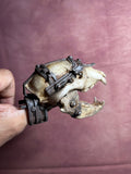 custom   1/6  Cyberpunk wastland  fallout  resin weapon for threezero