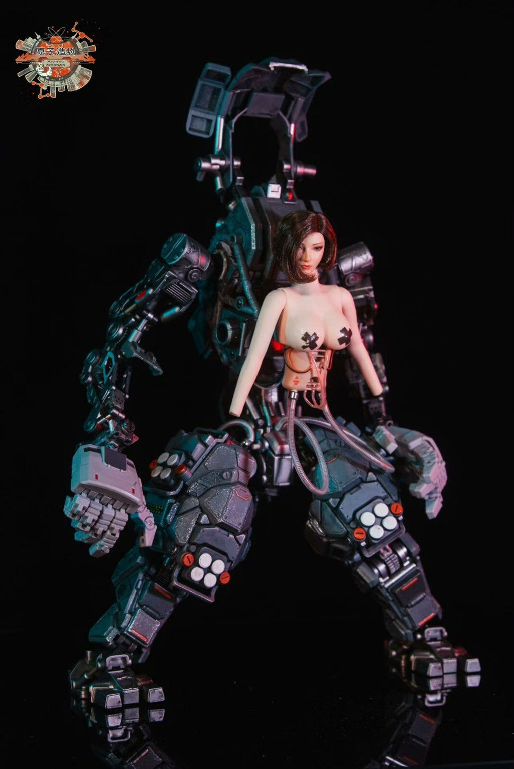 custom 1/6 Cyberpunk girl   Model for 12'' Action Figure