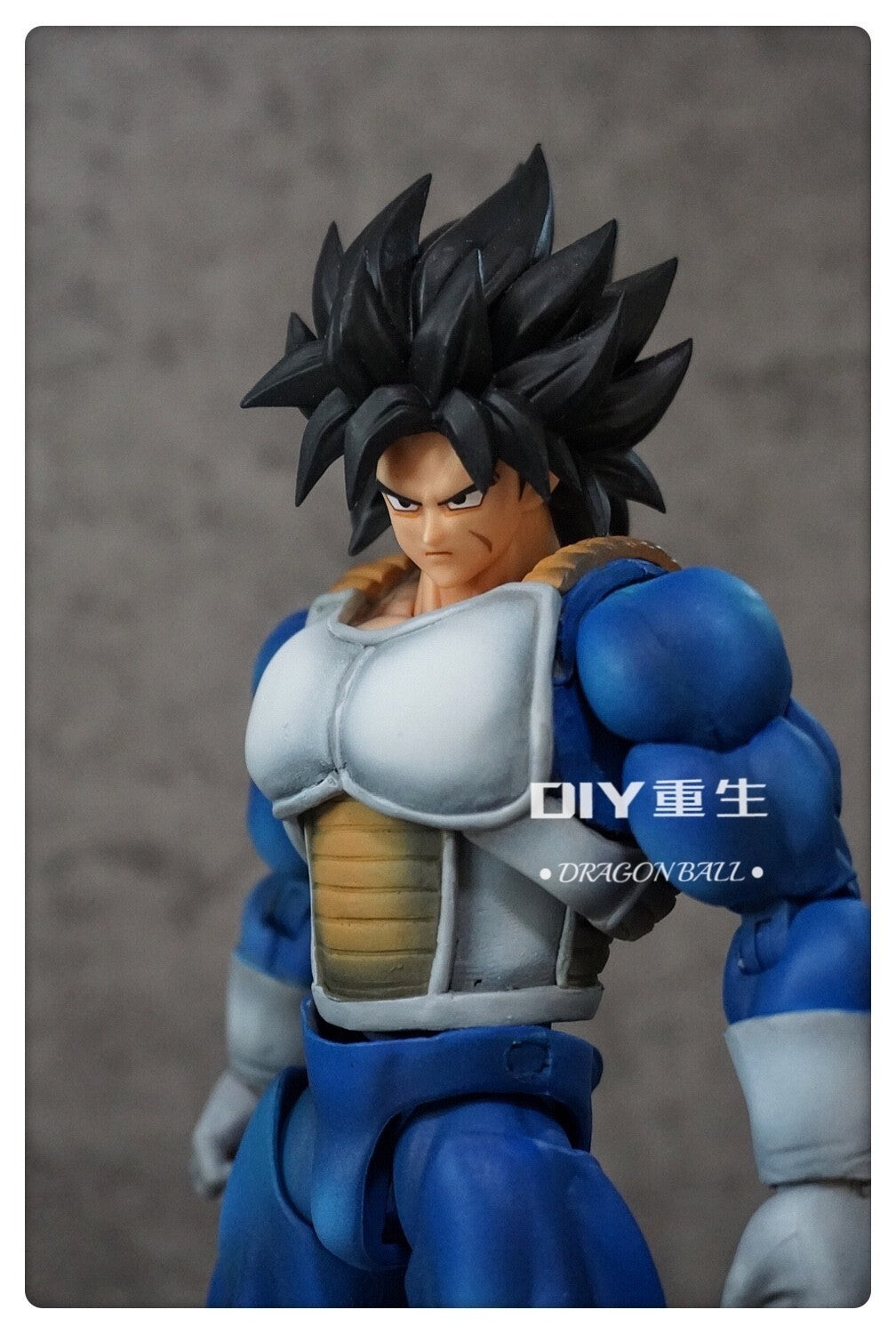 CUSTOM Dragon Ball SHF s.h.figuarts  broly   Action Figure