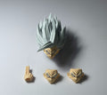custom dragonball shf gohan  head