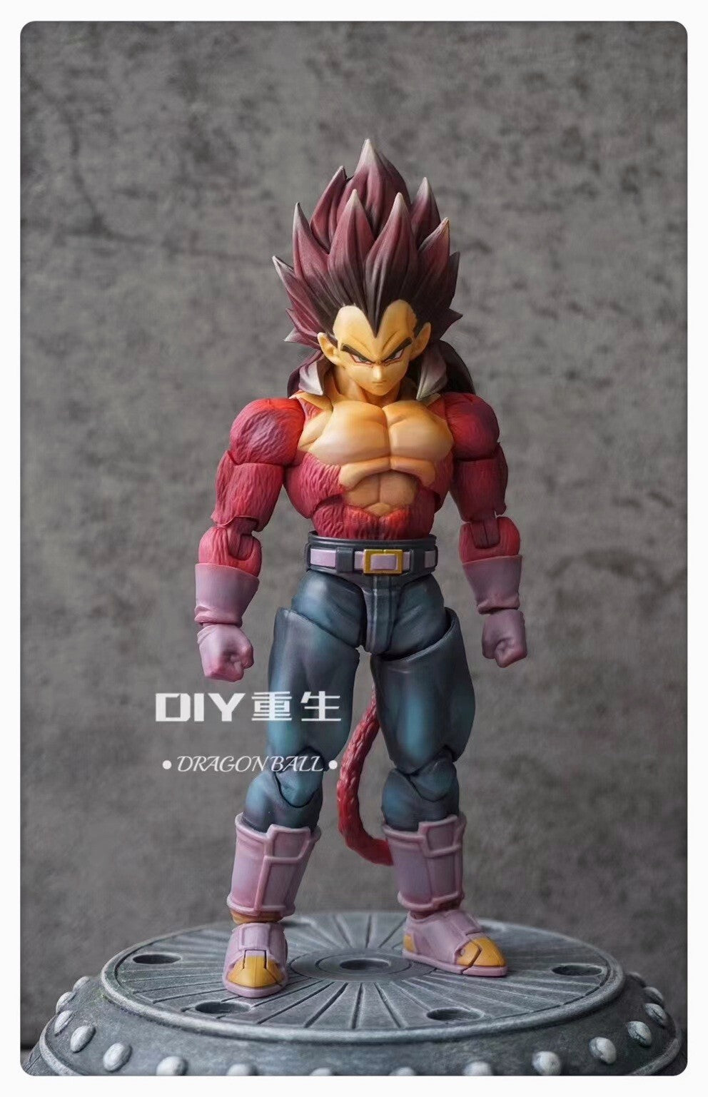 CUSTOM S.H. Figuarts Super Saiyan 4 Dragonball Vegeta SHF ActionFigure