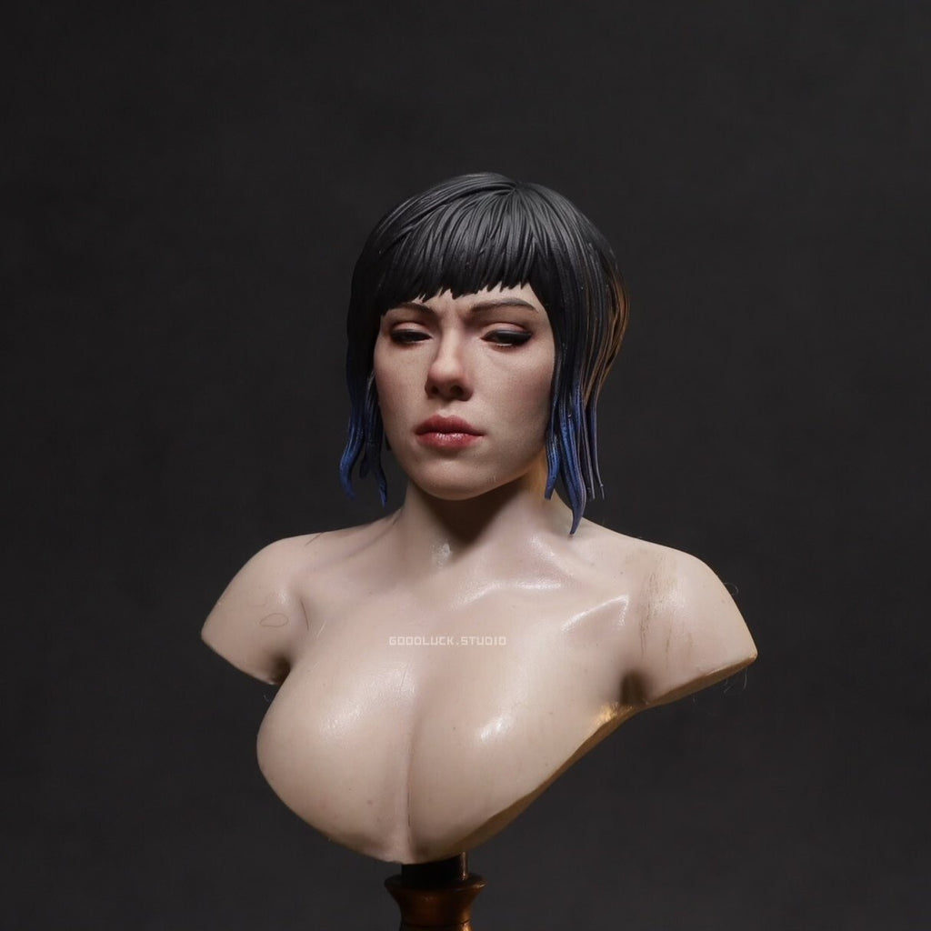 1/6  Ghost In The Shell  12 inch head