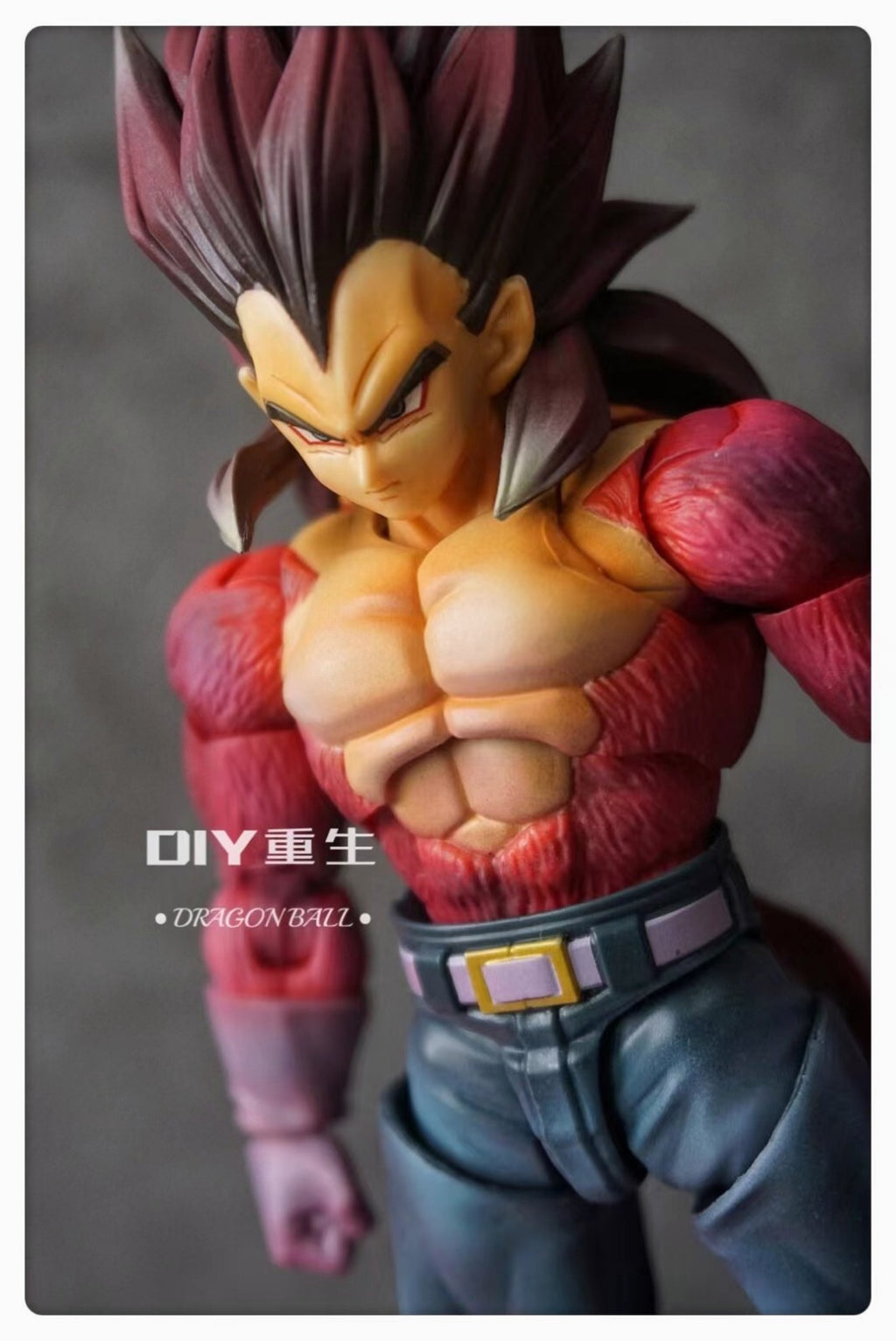 CUSTOM S.H. Figuarts Super Saiyan 4 Dragonball Vegeta SHF ActionFigure