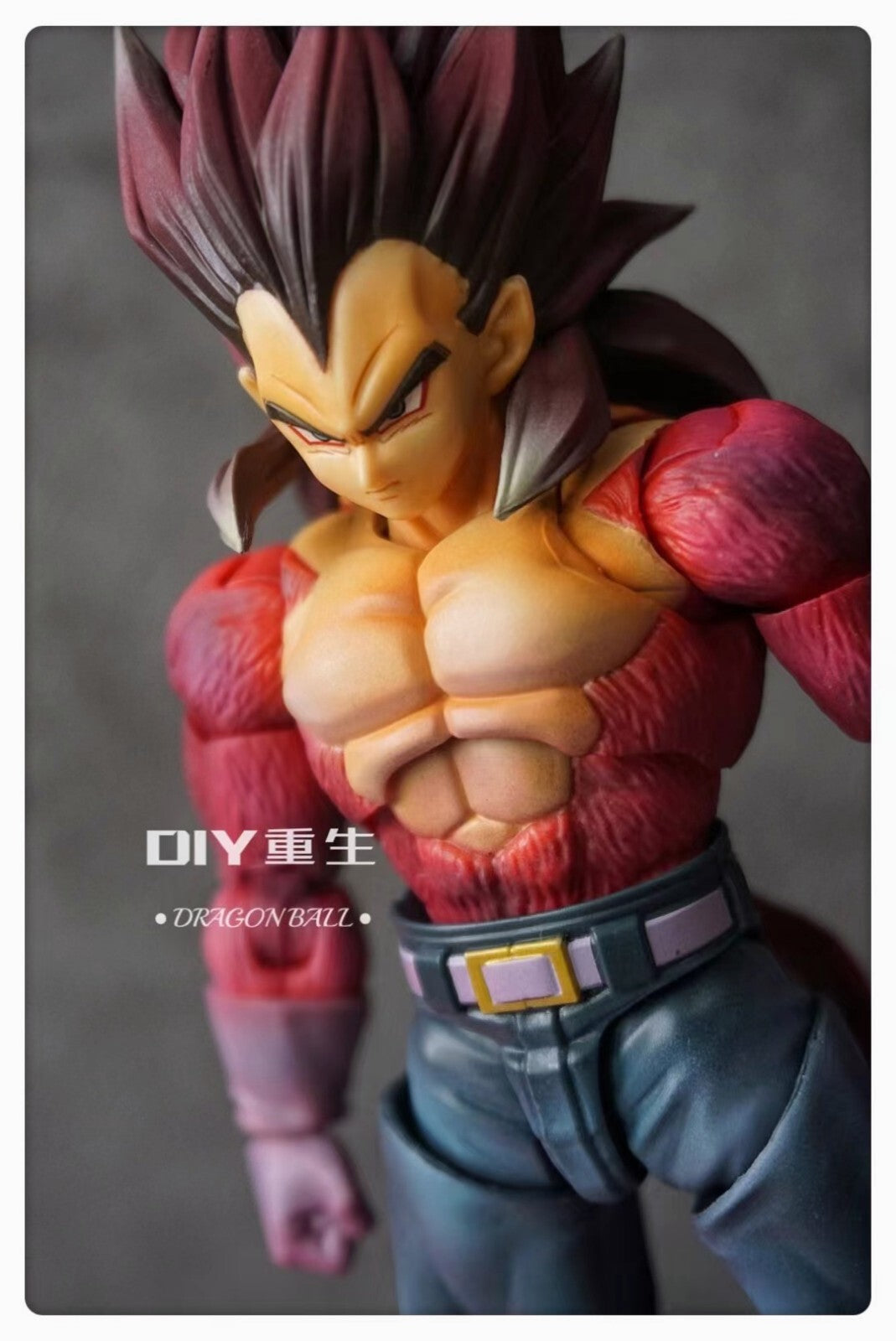 CUSTOM S.H. Figuarts Super Saiyan 4 Dragonball Vegeta SHF ActionFigure