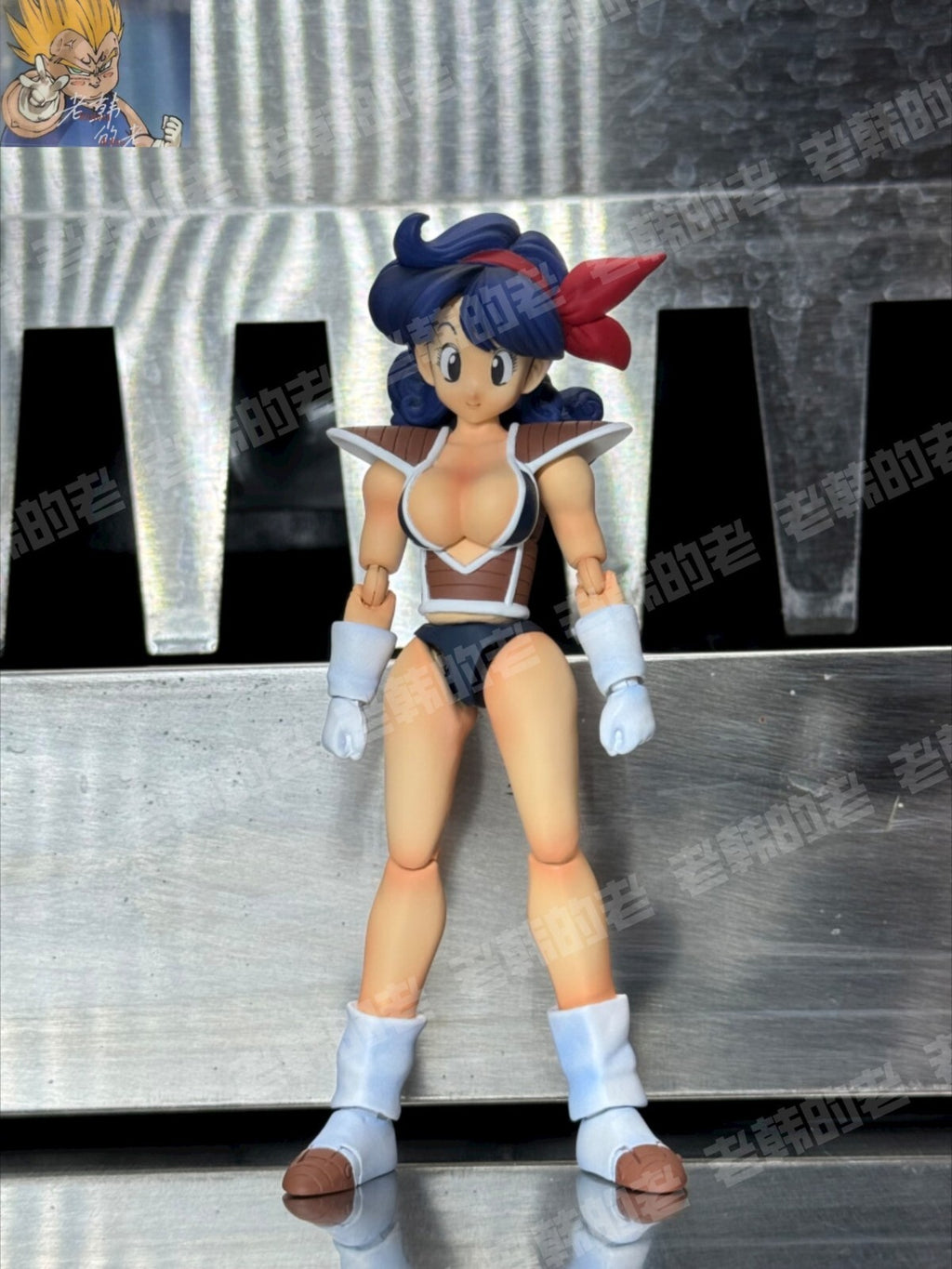 custom dragonball  shf  Lunch