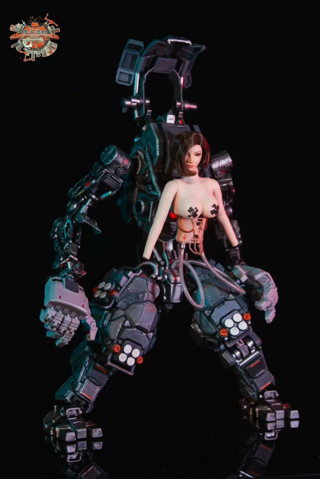 custom 1/6 Cyberpunk girl   Model for 12'' Action Figure