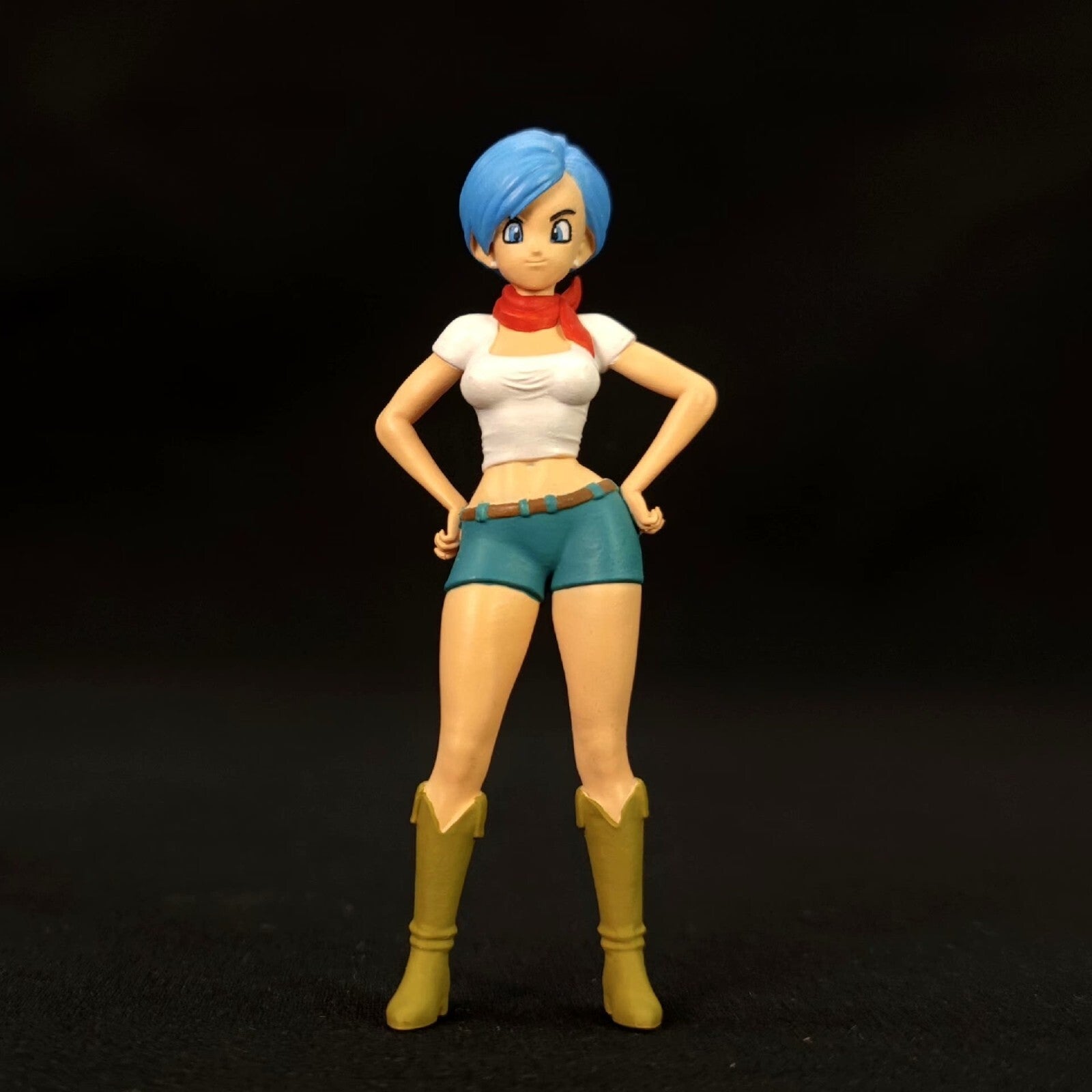 custom Dragon Ball Bulma 2 pcsr  hg scale resin