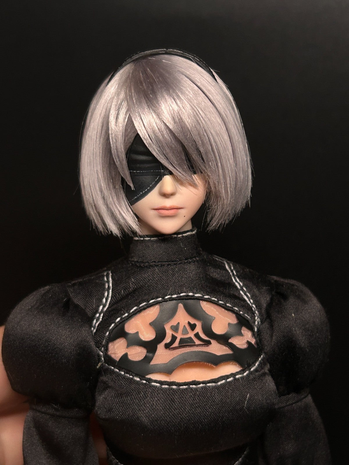 1/6   cyberpunk  NieR:Automata head  moveable eye  need about 90days pr