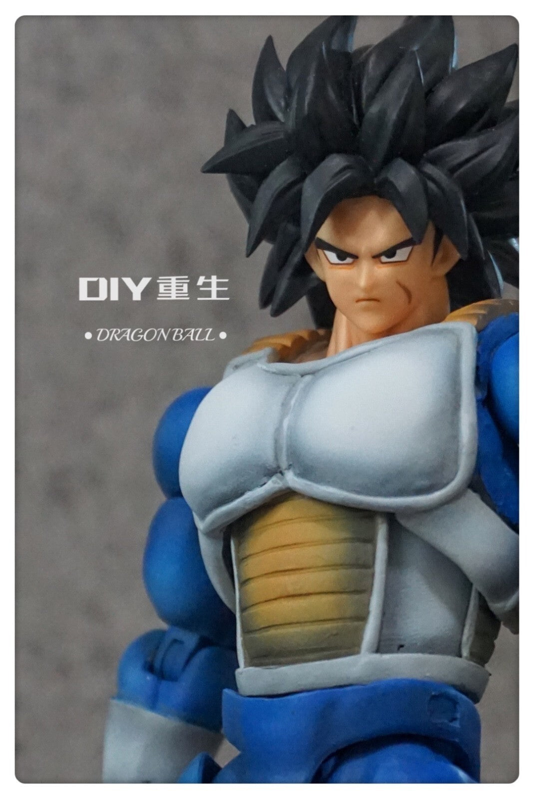 CUSTOM Dragon Ball SHF s.h.figuarts  broly   Action Figure