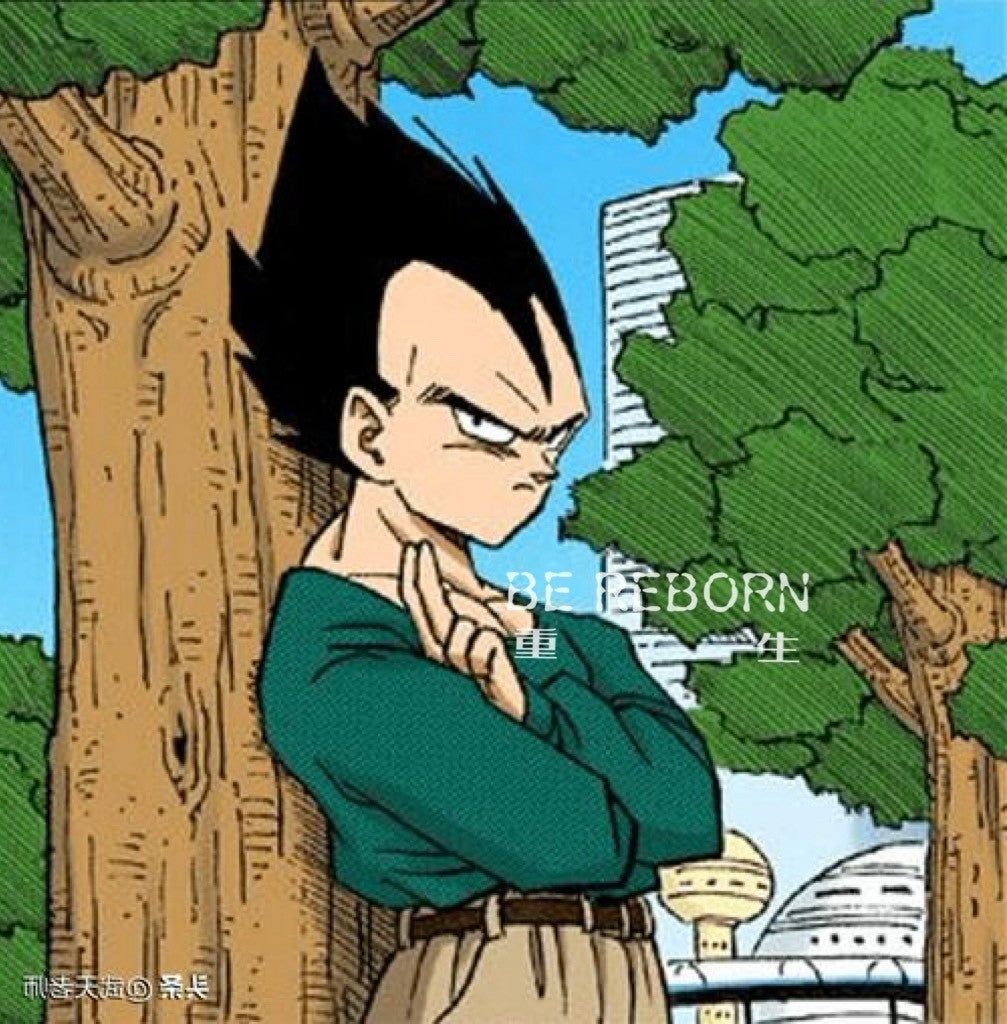 Dragon Ball Z SHF s.h.figuarts   vegeta