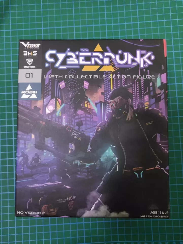 Cyberpunk Robin VTOYS X BMS X Collectible 1/12 Action Figure