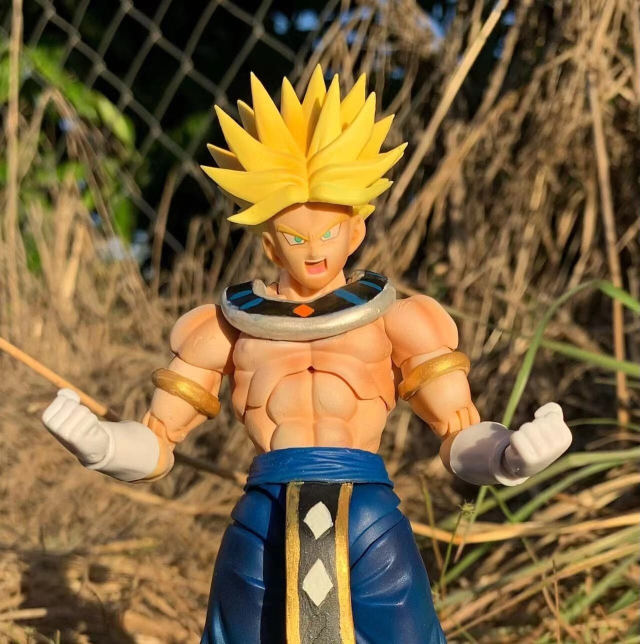 custom Dragon Ball  SHF s.h.figuarts trunks  hakaishi   shf figure Action Figure
