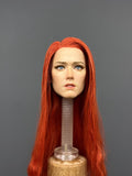 custom 1/6 mera head action  figure