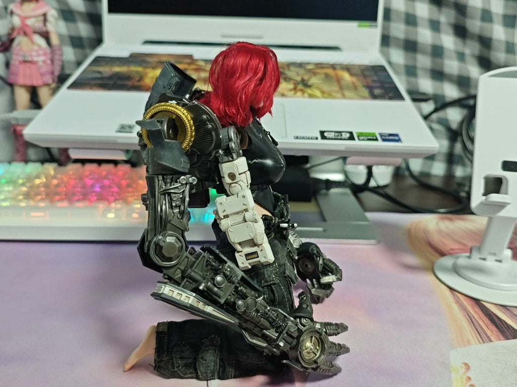 custom 1/6 wastland  Cyberpunk  12 inch figure