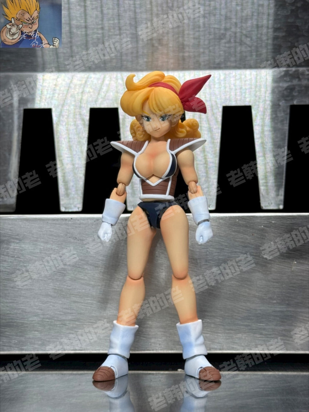 custom dragonball  shf  Lunch