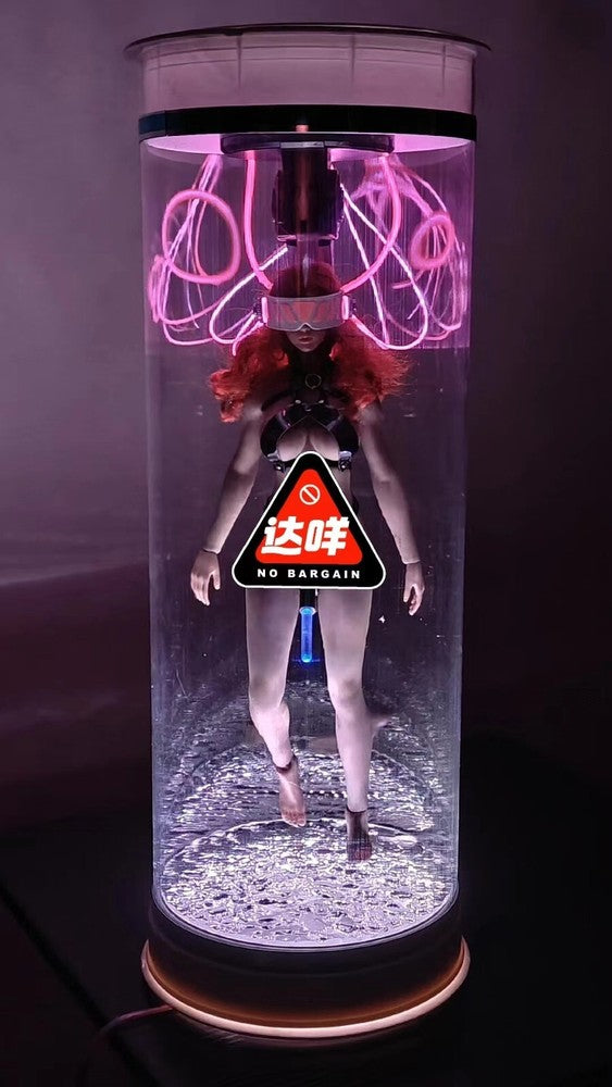 custom 1/6 sence for Jiaou doll female figure Phicen tbleague no figure