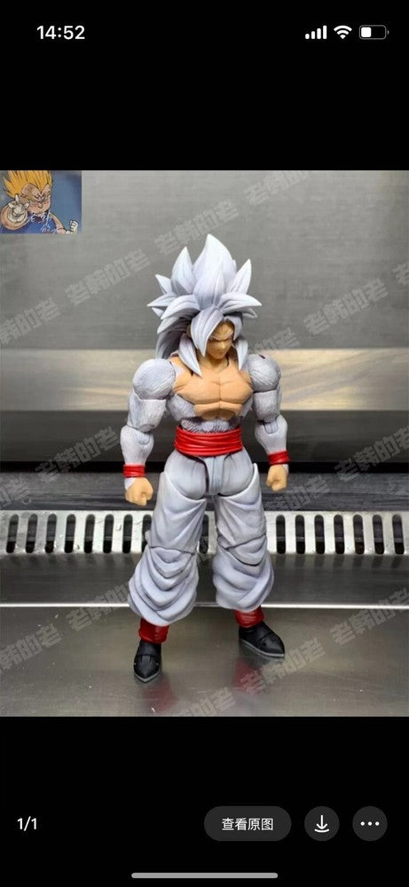 custom S.H.Figuarts Dragon Ball gogeta