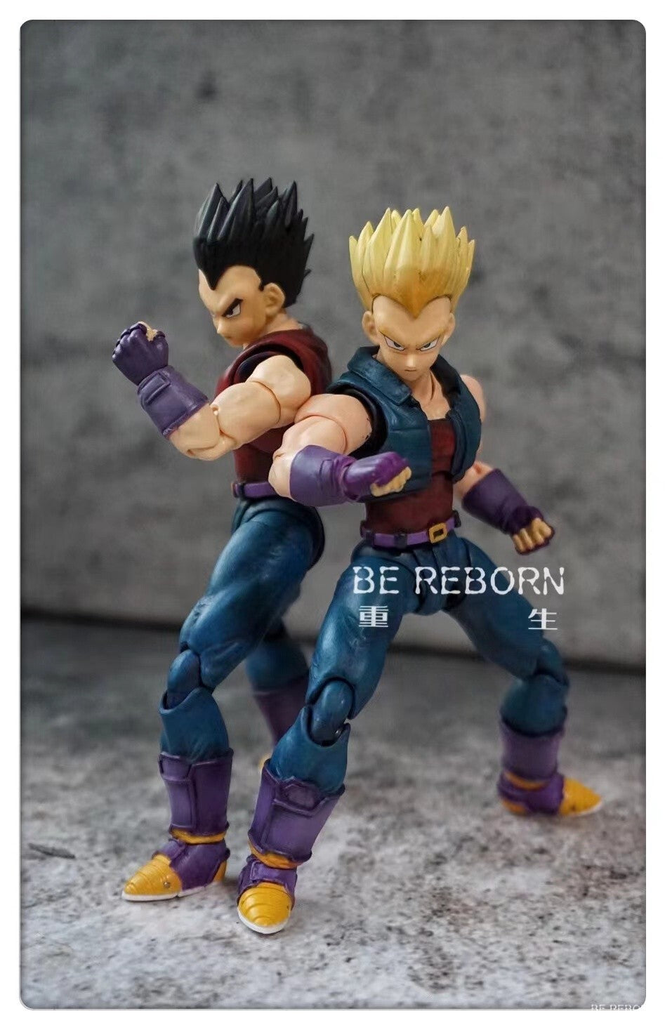 CUSTOM Dragon Ball shf vegeta 2pcs